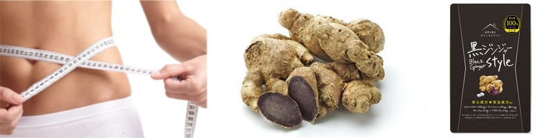 �_�C�G�b�g��₦���̕������T�v���y���W���W���[Style�z���T�C�g